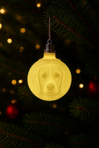 Boule de Noël personnalisée