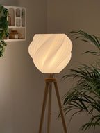 Suspension Brasier